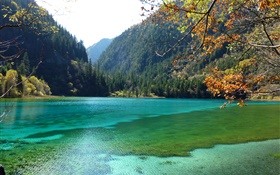 중국, 구채구 국립 공원, 호수, 산, 나무 HD 배경 화면