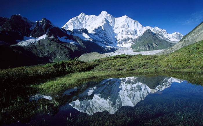 초모 Lonzo, 산, 잔디, 연못, 빙하, 티베트 배경 화면 그림