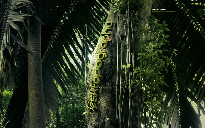 크리 에이 티브 디자인, 숲, 나무, 애벌레 배경 화면 그림