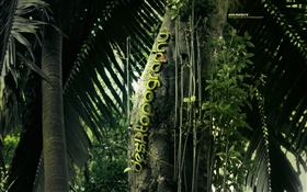 크리 에이 티브 디자인, 숲, 나무, 애벌레