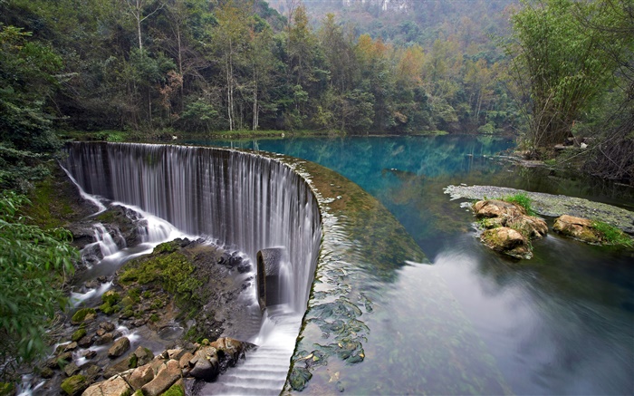 크로아티아, 플리트 비체 호수 국립 공원, 숲, 돌, 나무, 폭포 배경 화면 그림