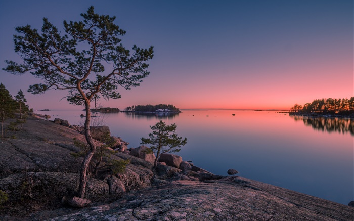 핀란드, 핀란드어 베이, 바다, 섬, 일몰, 나무, 돌 배경 화면 그림