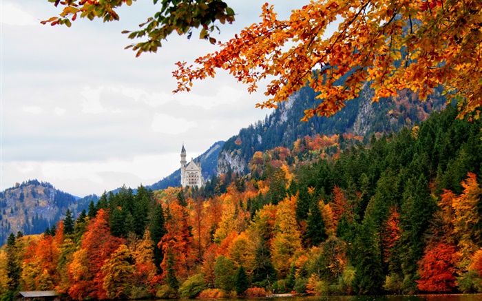 독일, 바바리아, 슈 반가우 성, 나무, 강, 가을 배경 화면 그림