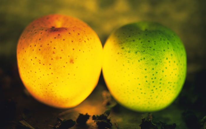 라이트 과일, 녹색, 오렌지 사과 배경 화면 그림