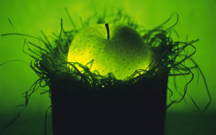 라이트 과일, 둥지에 녹색 사과 배경 화면 그림