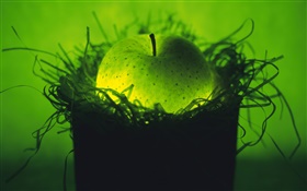 라이트 과일, 둥지에 녹색 사과 HD 배경 화면