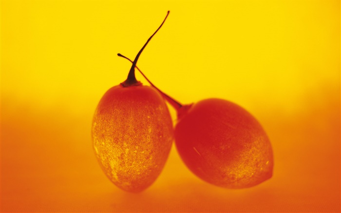 라이트 과일, 두 나무 토마토 배경 화면 그림