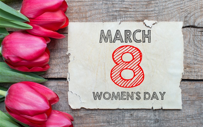 3 월 8 일 여성의 날, 빨간 튤립 꽃 배경 화면 그림