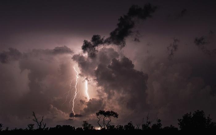 밤, 구름, 폭풍, 번개, 나무, 실루엣 배경 화면 그림