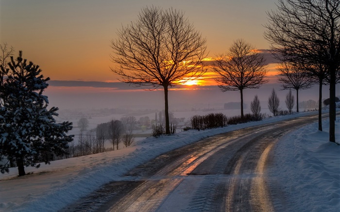 겨울, 아침, 새벽,도, 나무, 눈, 일출 배경 화면 그림