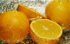 신선한 과일, 레몬, 물, 방울 HD 배경 화면