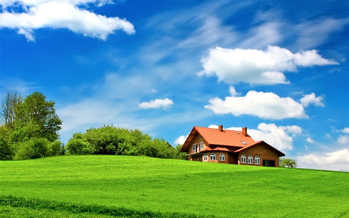 푸른 잔디, 나무, 집, 구름, 푸른 하늘 배경 화면 그림