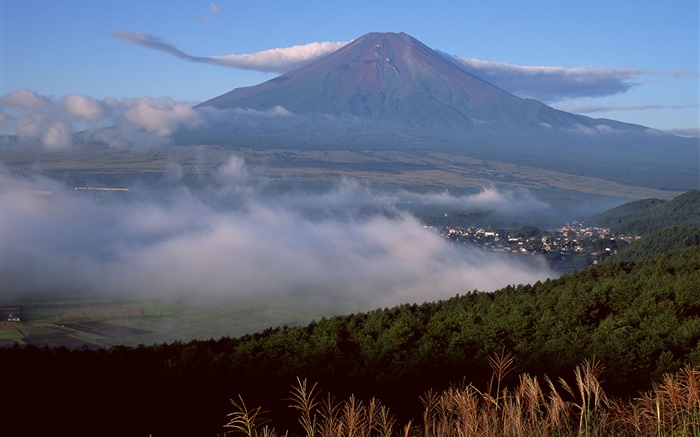 후지산, 일본, 마을, 숲, 잔디, 안개, 구름 배경 화면 그림