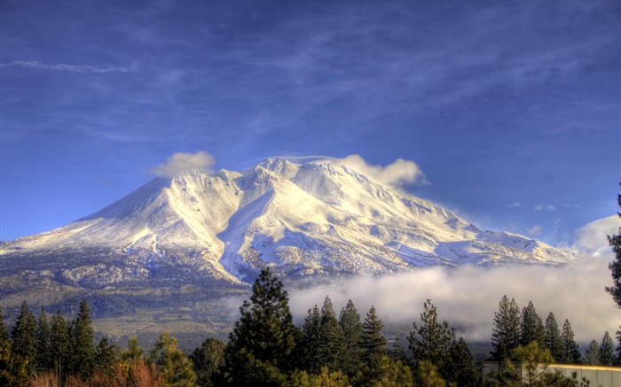 산, 눈, 나무, 구름, 샤스타, 캘리포니아, 미국 배경 화면 그림