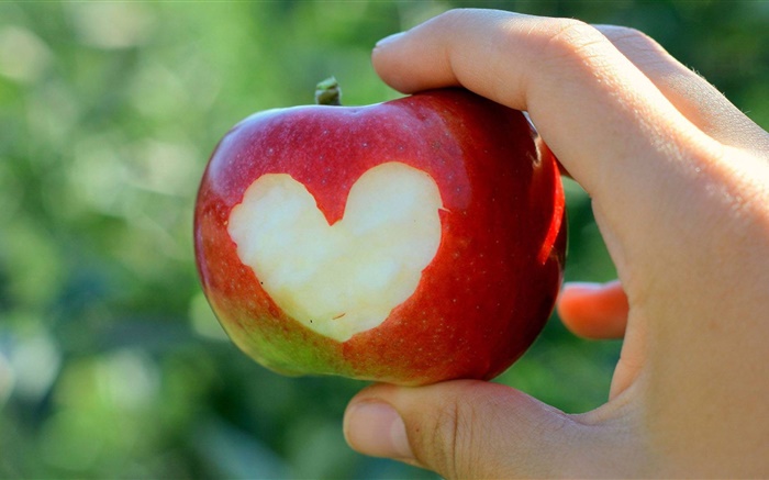 빨간 사과, 사랑의 마음, 손 배경 화면 그림