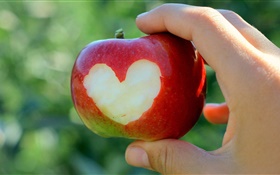 빨간 사과, 사랑의 마음, 손 HD 배경 화면