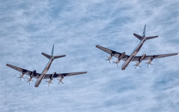 투폴 레프 TU-95 항공기 에어쇼 배경 화면 그림