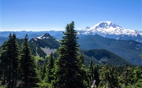 미국, 알래스카, 숲, 산, 푸른 하늘 HD 배경 화면
