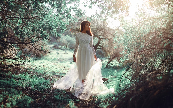 숲, 태양, 눈부심 화이트 드레스 소녀 배경 화면 그림