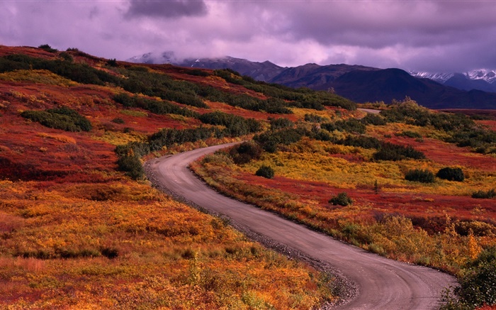 가을, 산, 도로, 잔디, 구름 배경 화면 그림
