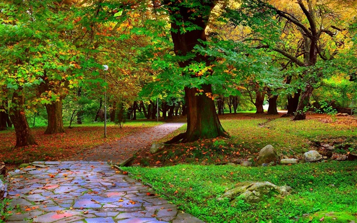 가을 공원, 나무, 산책로, 잎 배경 화면 그림