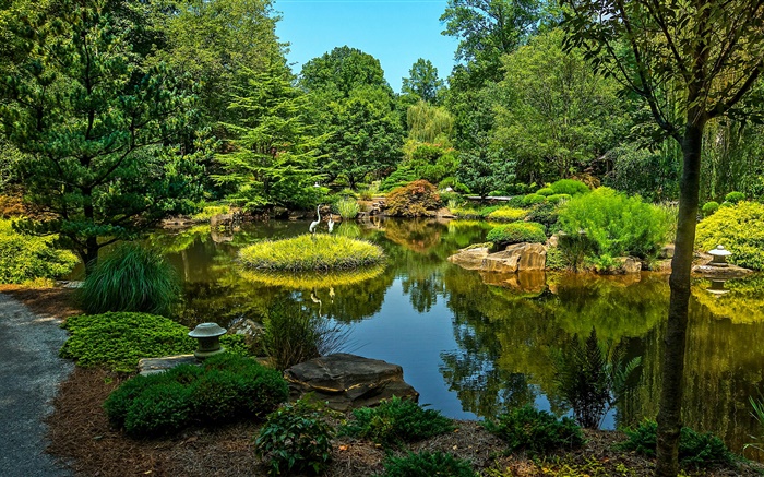 깁스 정원, 미국, 연못, 나무, 잔디 배경 화면 그림