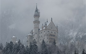 노이 슈반 슈타인, 성, 산, 나무, 눈