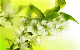 하얀 사과 꽃, 꽃, 나뭇 가지, 봄 HD 배경 화면