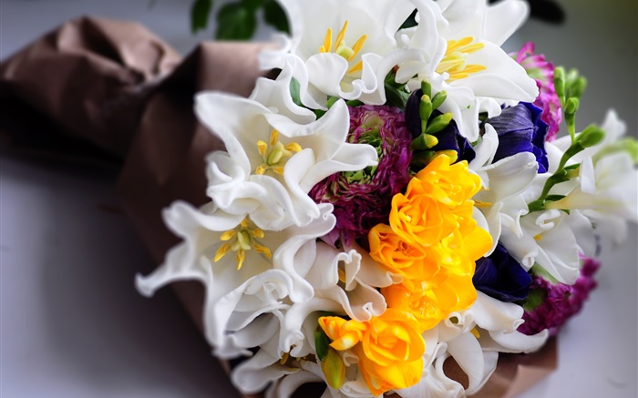 꽃다발 꽃, 흰색과 노란색 튤립 배경 화면 그림