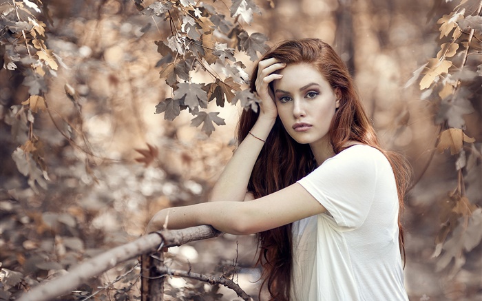 가을, 나무, 울타리 갈색 머리 소녀 배경 화면 그림