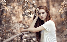 가을, 나무, 울타리 갈색 머리 소녀 HD 배경 화면