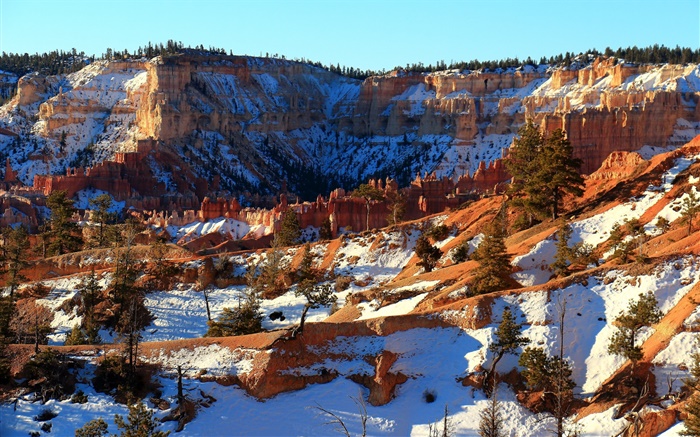 겨울 자연 풍경, 눈, 붉은 바위 배경 화면 그림