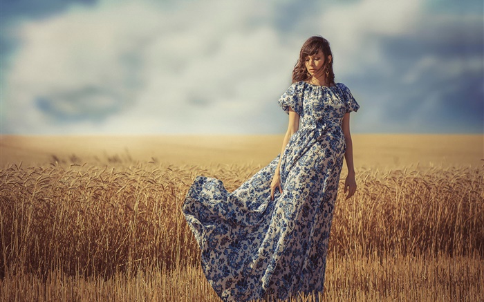 소녀 바람, 여름, 밀밭 배경 화면 그림