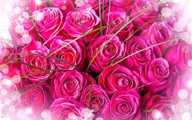 핑크 장미, 꽃다발, 눈부심 HD 배경 화면