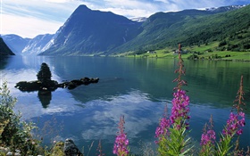 호수, 산, 꽃, 구름 HD 배경 화면
