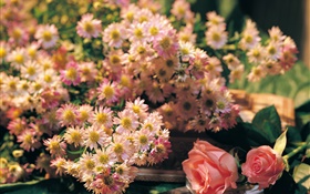 핑크 꽃, 장미 및 카모마일