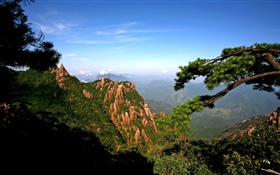 산, 나무, 하늘, 자연 경관 HD 배경 화면