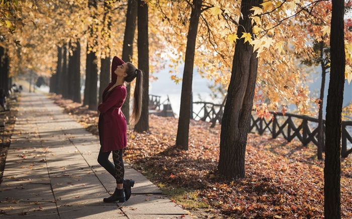 빨간 드레스 소녀, 무, 공원, 나무, 가을 배경 화면 그림