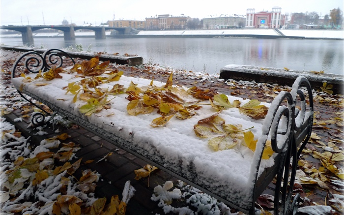 겨울, 벤치, 강, 눈 배경 화면 그림