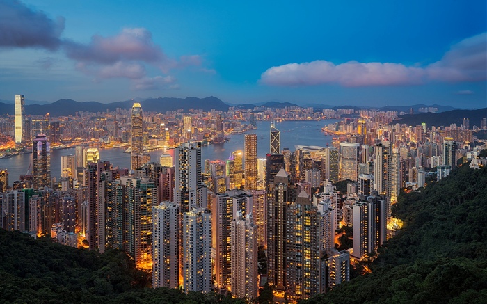 홍콩, 밤, 고층 빌딩, 조명 배경 화면 그림