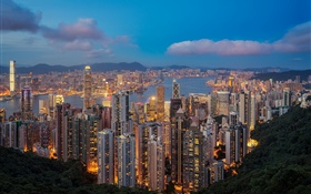 홍콩, 밤, 고층 빌딩, 조명