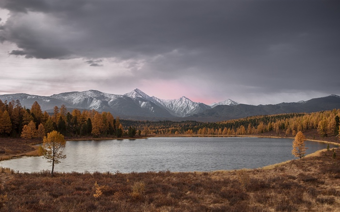 알타이, 호수, 나무, 산, 가을 배경 화면 그림