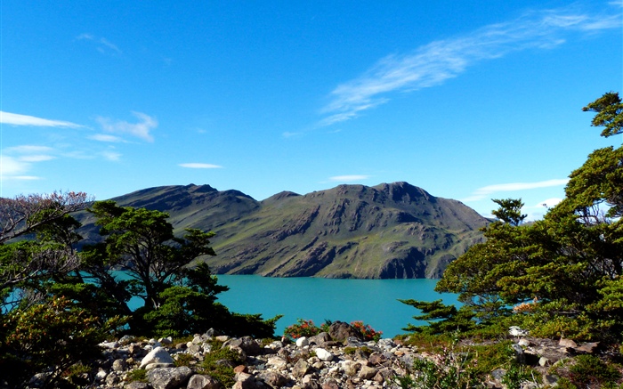 아르헨티나, 파타고니아, 호수, 산, 나무 배경 화면 그림