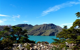 아르헨티나, 파타고니아, 호수, 산, 나무 HD 배경 화면