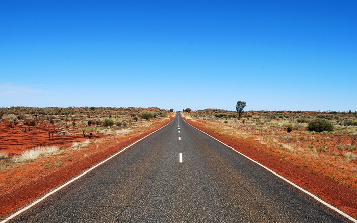 호주도, 푸른 하늘 배경 화면 그림