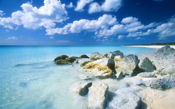 바하마, 해변, 바다, 돌 배경 화면 그림