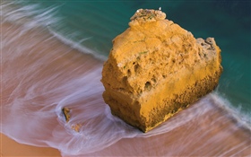 해변, 바다, 암석, 새 HD 배경 화면