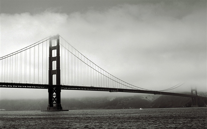 다리, 강, 흑백 사진 배경 화면 그림