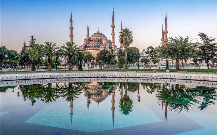 이스탄불, 터키, 모스크, 나무, 물 배경 화면 그림