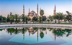 이스탄불, 터키, 모스크, 나무, 물 HD 배경 화면